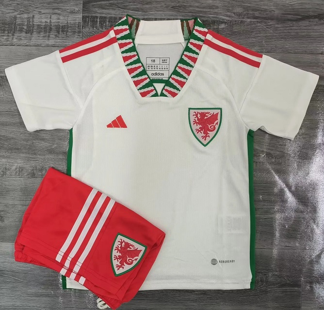 Kids-Wales 2022 World Cup Away Soccer Jersey